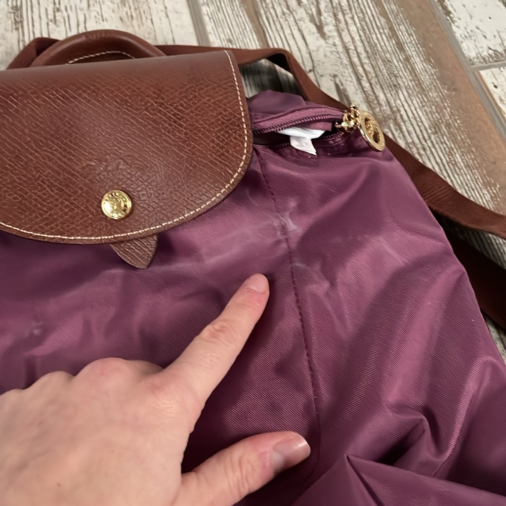 Longchamp Backpack - image 3